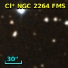 Cl* NGC 2264    FMS     205