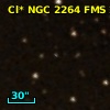 Cl* NGC 2264    FMS     213