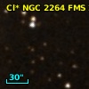 Cl* NGC 2264    FMS     229