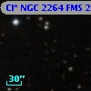 Cl* NGC 2264    FMS     237
