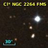 Cl* NGC 2264    FMS     242