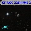 Cl* NGC 2264    FMS     248