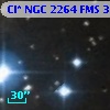 Cl* NGC 2264    FMS     336