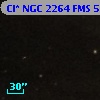 Cl* NGC 2264    FMS     516