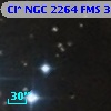 Cl* NGC 2264    FMS     307
