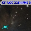 Cl* NGC 2264    FMS     380