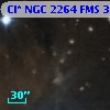 Cl* NGC 2264    FMS     388