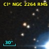 Cl* NGC 2264    RMS       3
