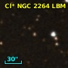 Cl* NGC 2264    LBM      14