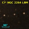 Cl* NGC 2264    LBM     315