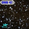 DWB  42