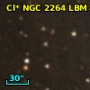 Cl* NGC 2264    LBM    8982