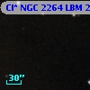 Cl* NGC 2264    LBM     254