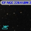 Cl* NGC 2264    LBM     263