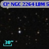 Cl* NGC 2264    LBM     503
