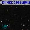 Cl* NGC 2264    LBM     919