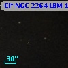 Cl* NGC 2264    LBM    1029