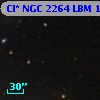 Cl* NGC 2264    LBM    1329