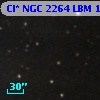 Cl* NGC 2264    LBM    1963