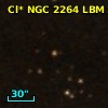 Cl* NGC 2264    LBM    2001