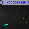Cl* NGC 2264    LBM    2317