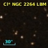 Cl* NGC 2264    LBM    2333