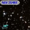 NSV 25497