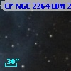 Cl* NGC 2264    LBM    2748