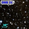 DWB  31