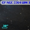 Cl* NGC 2264    LBM    3091