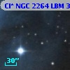 Cl* NGC 2264    LBM    3206