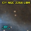 Cl* NGC 2264    LBM    3236