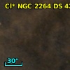 Cl* NGC 2264     DS      42