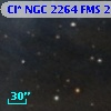 Cl* NGC 2264    FMS  2-202