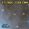 Cl* NGC 2264    LBM    4051