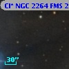 Cl* NGC 2264    FMS  2-243
