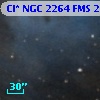 Cl* NGC 2264    FMS  2-265
