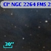 Cl* NGC 2264    FMS  2-307