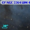 Cl* NGC 2264    LBM    4346