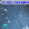 Cl* NGC 2264    LBM    4601