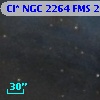 Cl* NGC 2264    FMS  2-505