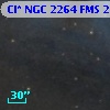 Cl* NGC 2264    FMS  2-529