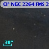 Cl* NGC 2264    FMS  2-531