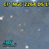 Cl* NGC 2264     DS     175