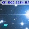 Cl* NGC 2264     DS     328