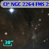 Cl* NGC 2264    FMS  2-1321