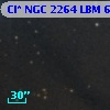 Cl* NGC 2264    LBM    6538