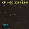 Cl* NGC 2264    LBM    8742