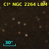 Cl* NGC 2264    LBM    9205