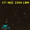 Cl* NGC 2264    LBM    9869